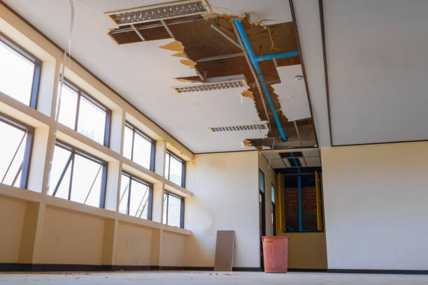 Best Flood damage cleanup  in Theresa, WI