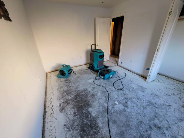 Best Emergency water damage restoration  in Theresa, WI