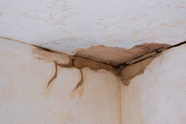 Best Flood restoration services  in Theresa, WI