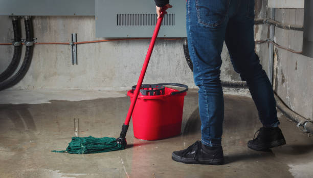 Best Ceiling water damage repair  in Theresa, WI
