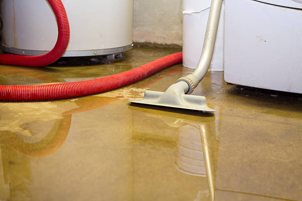 Best Water damage restoration near me  in Theresa, WI