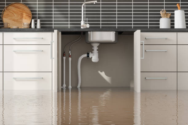 Best Flooded house restoration  in Theresa, WI