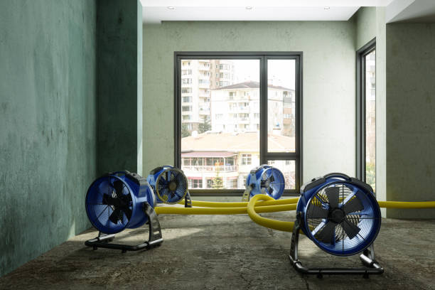 Best Carpet water damage restoration  in Theresa, WI